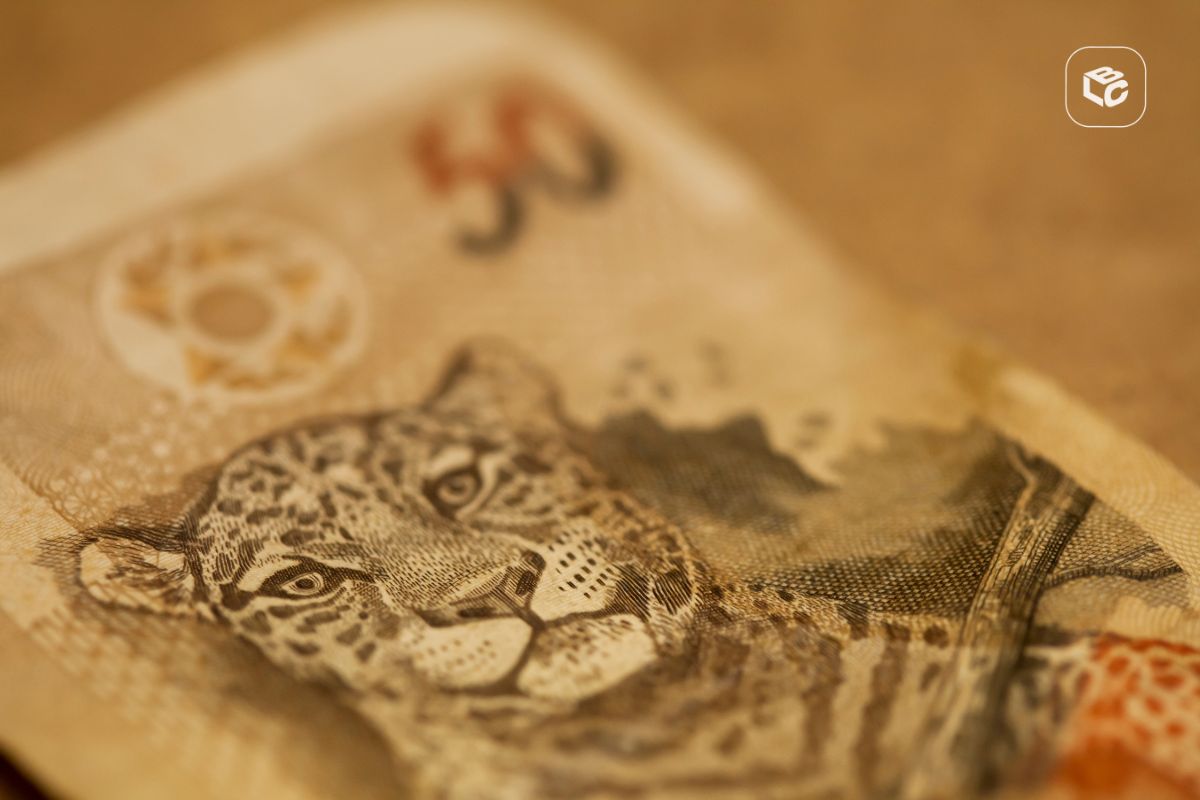 Close-up de uma nota de R$ 50 destacando a ilustração da onça-pintada, com foco seletivo e fundo desfocado, representando dinheiro, pagamentos e finanças.